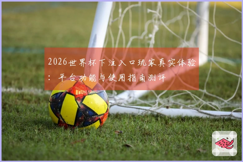 2026世界杯下注入口玩家真实体验：平台功能与使用指南测评