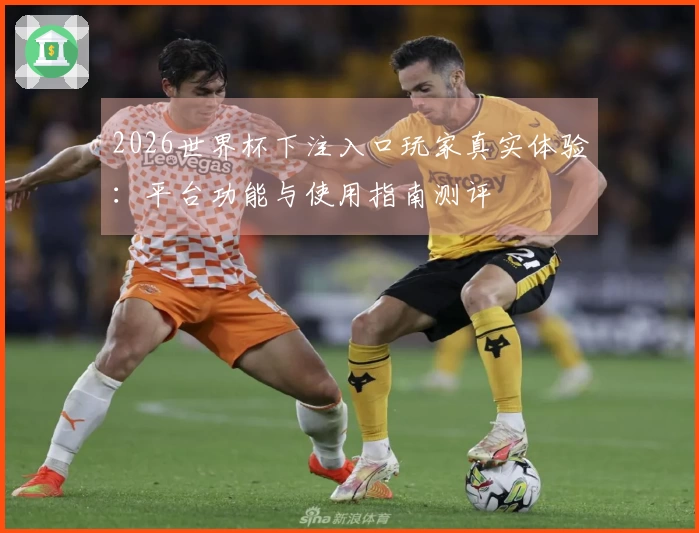 2026世界杯下注入口玩家真实体验：平台功能与使用指南测评